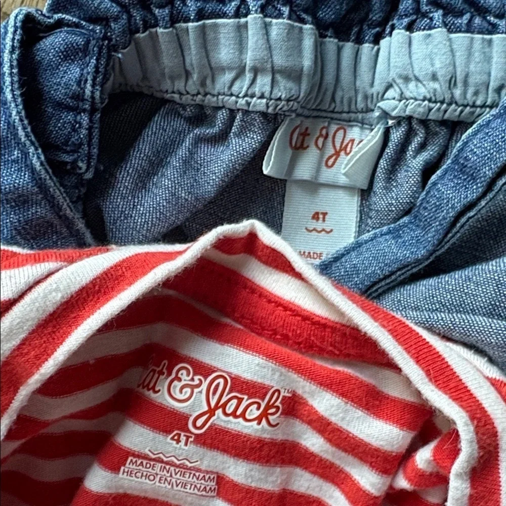 Cat & Jack girls outfit 4t